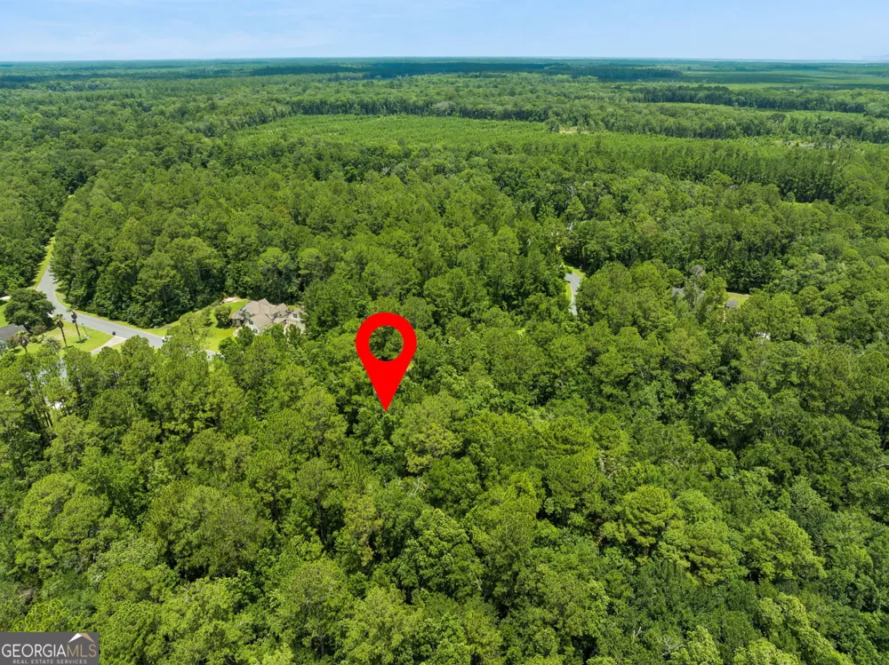 V/L 185 Sunrise DR Woodbine, GA 31569