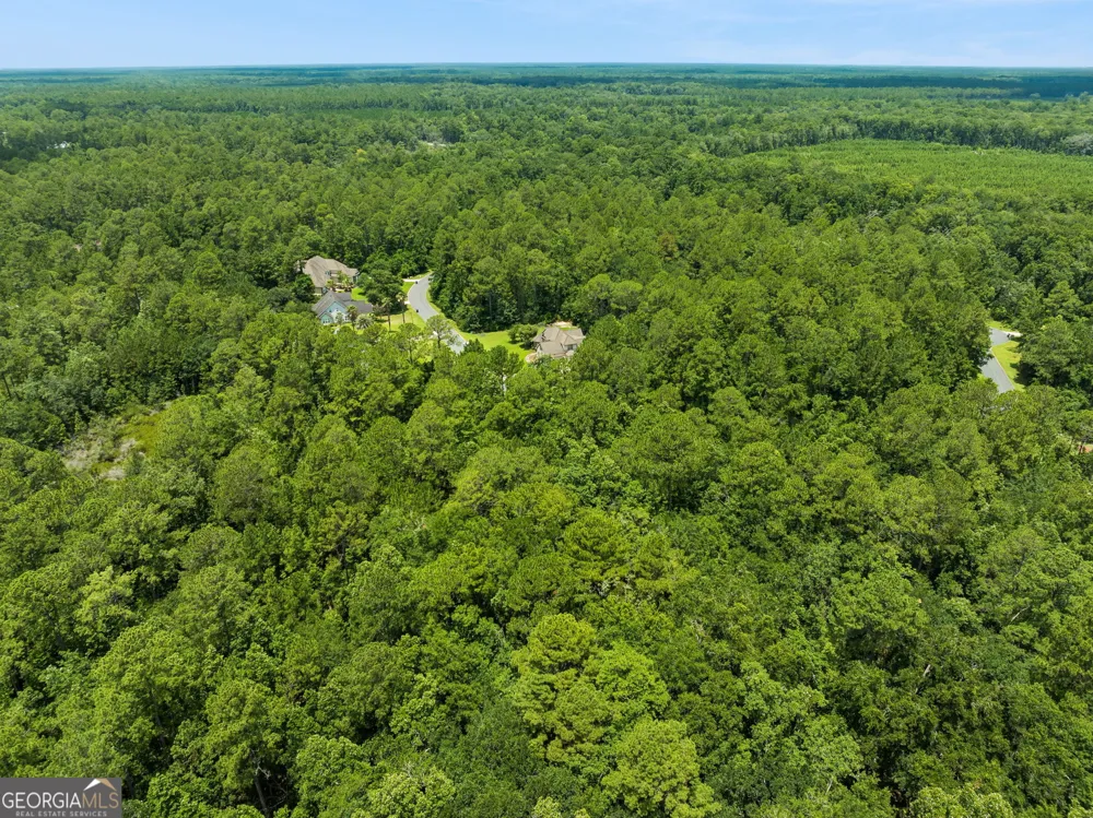 V/L 185 Sunrise DR Woodbine, GA 31569