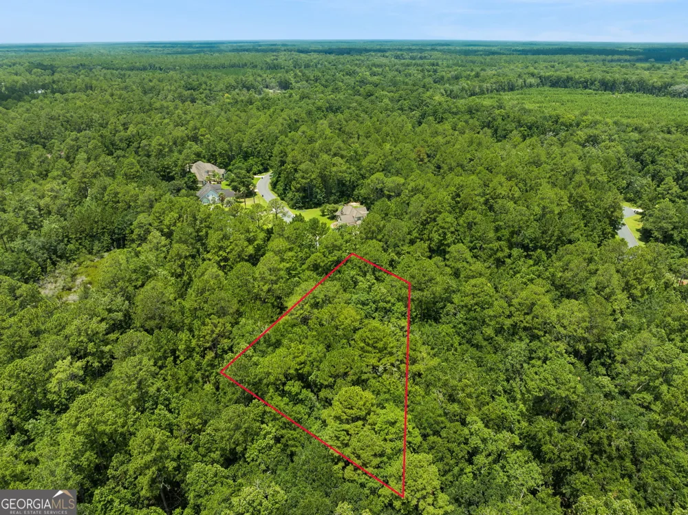 V/L 185 Sunrise DR Woodbine, GA 31569