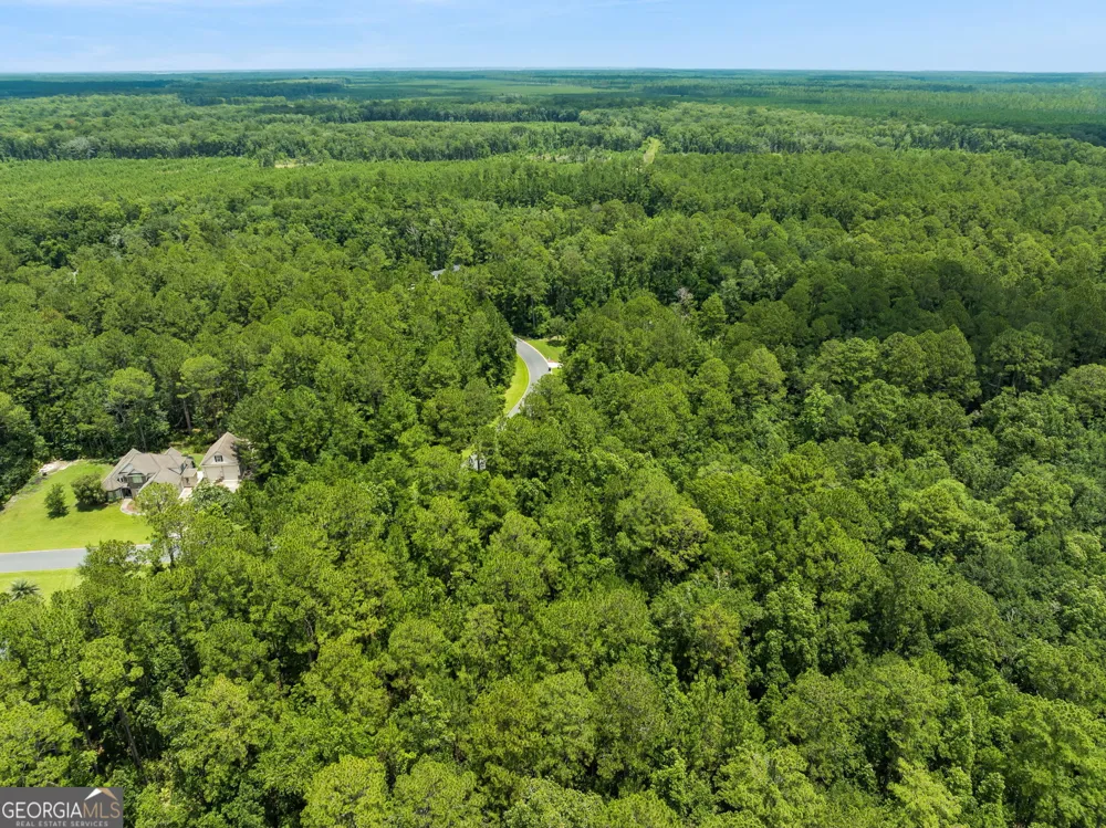 V/L 185 Sunrise DR Woodbine, GA 31569