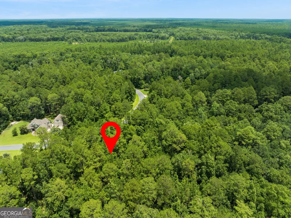 V/L 185 Sunrise DR Woodbine, GA 31569