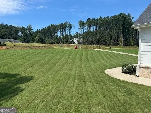 171 Strickland LOOP Forsyth, GA 31029