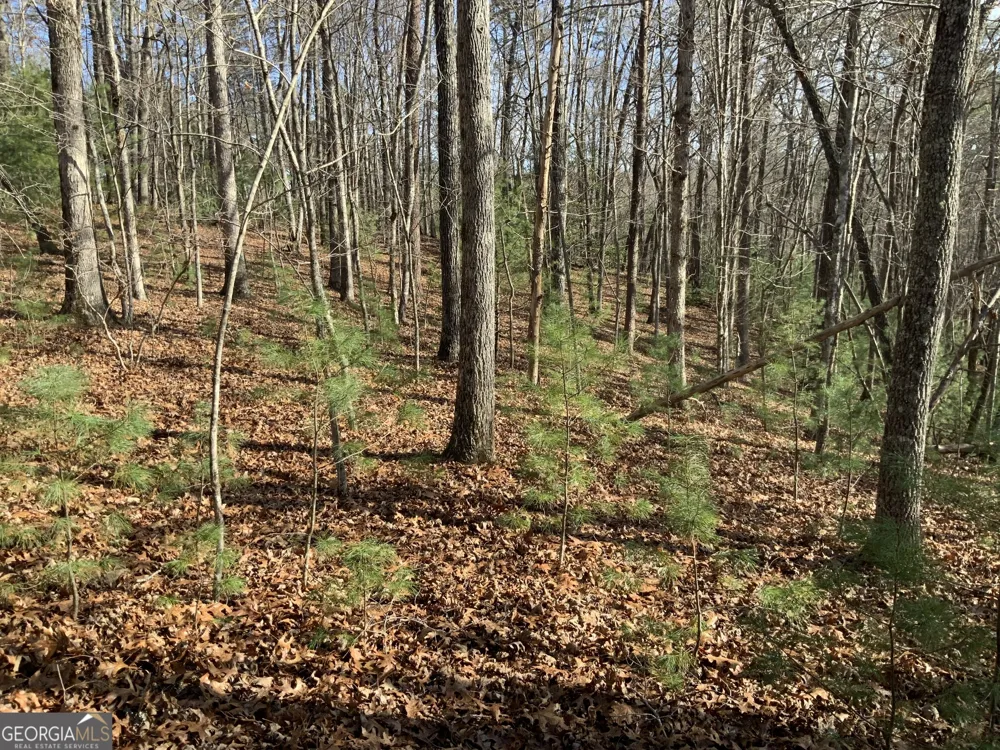 0 FIGHTINGTOWN CREEK McCaysville, GA 30555