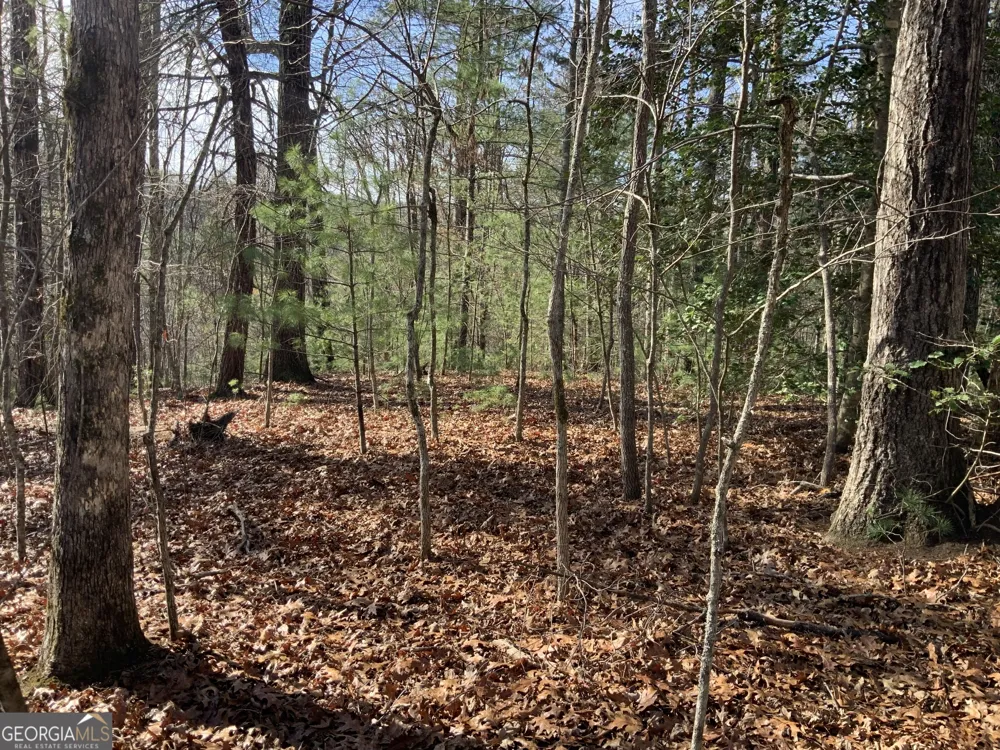 0 FIGHTINGTOWN CREEK McCaysville, GA 30555