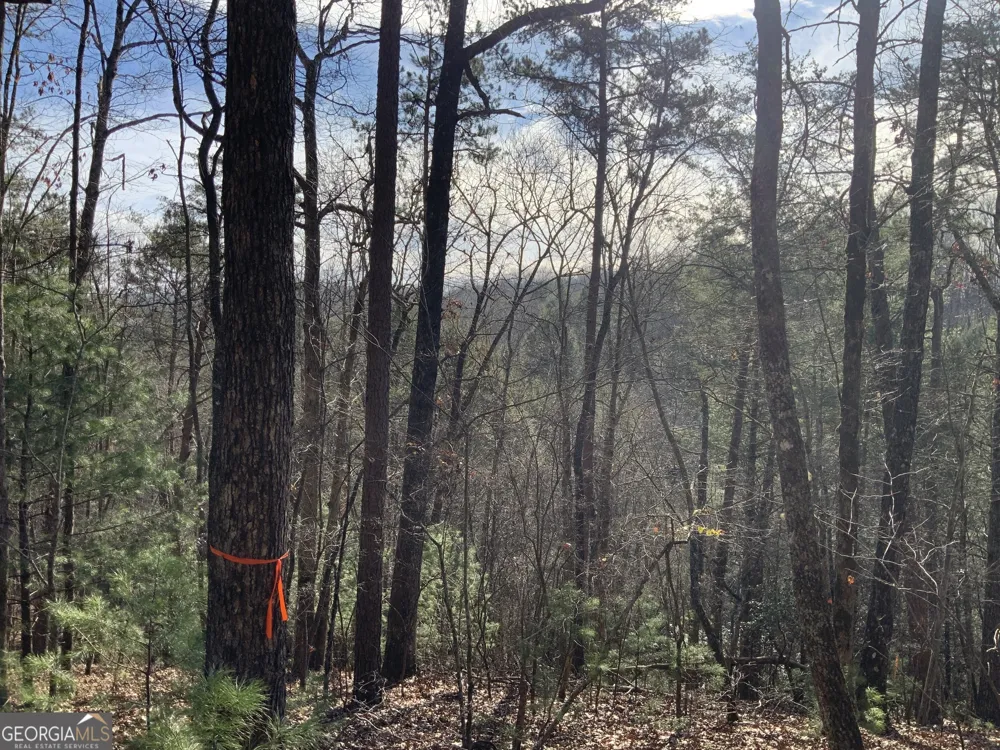 0 FIGHTINGTOWN CREEK McCaysville, GA 30555