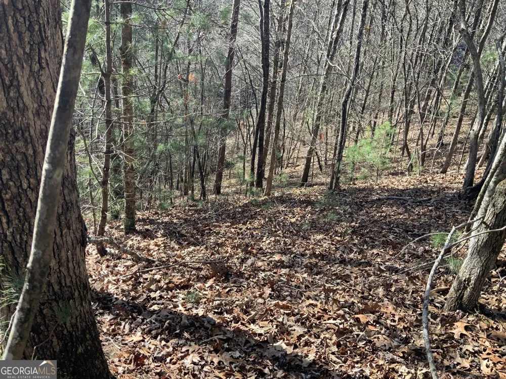 0 FIGHTINGTOWN CREEK McCaysville, GA 30555