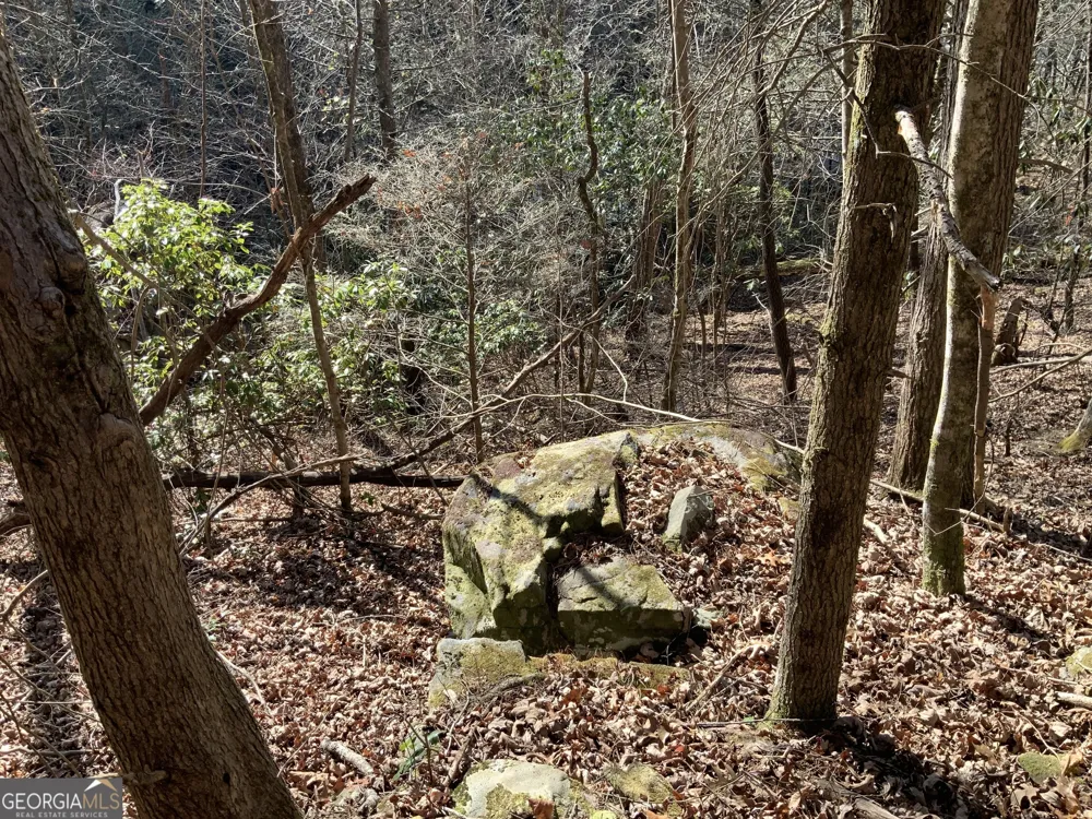 0 FIGHTINGTOWN CREEK McCaysville, GA 30555