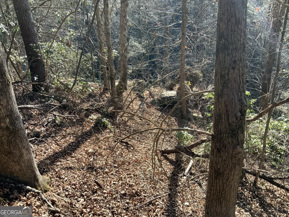 0 FIGHTINGTOWN CREEK McCaysville, GA 30555