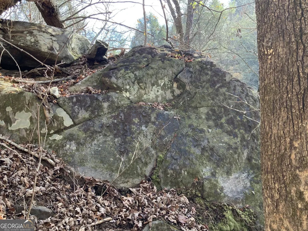0 FIGHTINGTOWN CREEK McCaysville, GA 30555