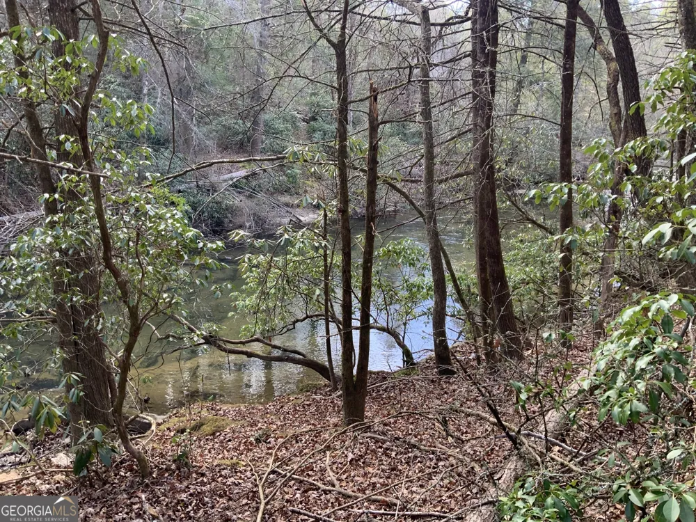 0 FIGHTINGTOWN CREEK McCaysville, GA 30555