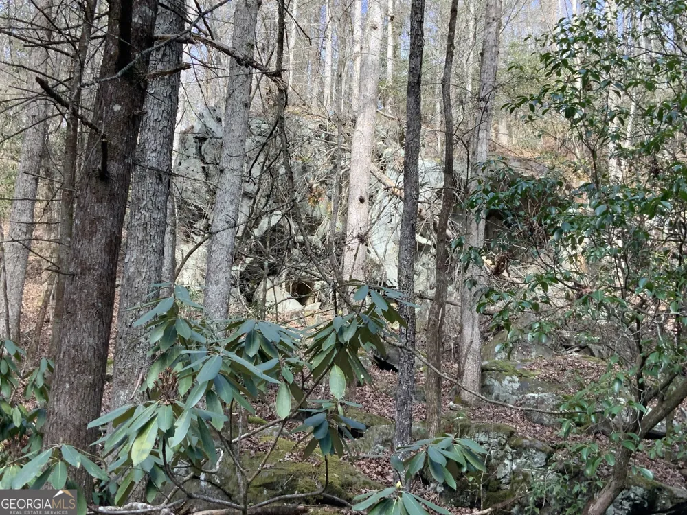 0 FIGHTINGTOWN CREEK McCaysville, GA 30555