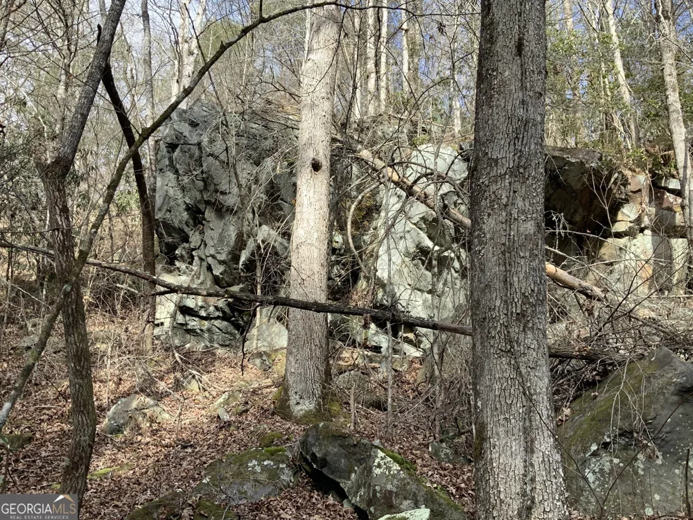 0 FIGHTINGTOWN CREEK McCaysville, GA 30555