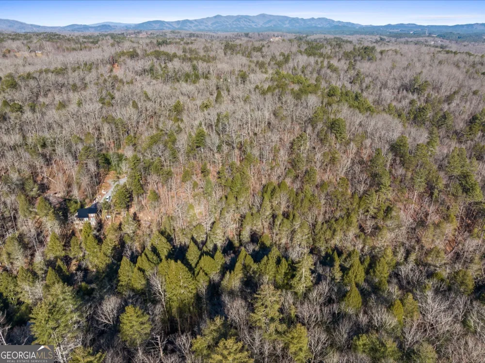 0 FIGHTINGTOWN CREEK McCaysville, GA 30555