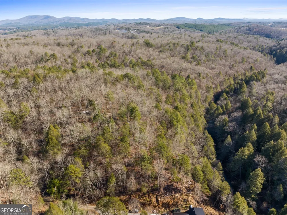 0 FIGHTINGTOWN CREEK McCaysville, GA 30555