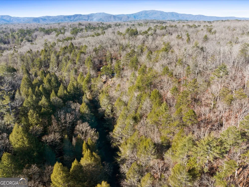 0 FIGHTINGTOWN CREEK McCaysville, GA 30555