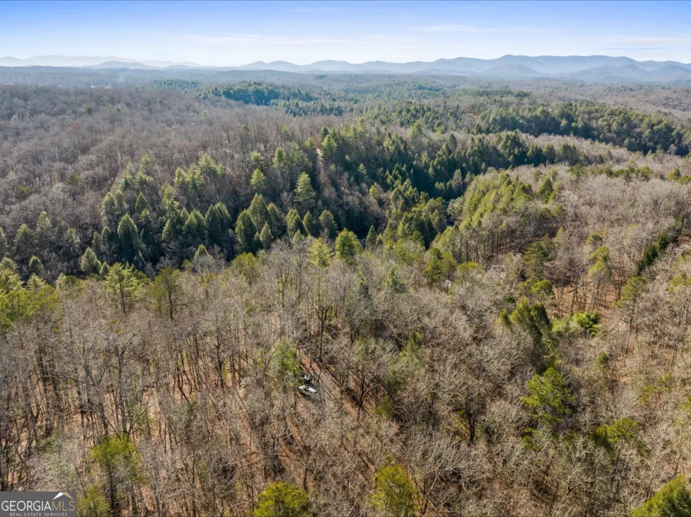 0 FIGHTINGTOWN CREEK McCaysville, GA 30555
