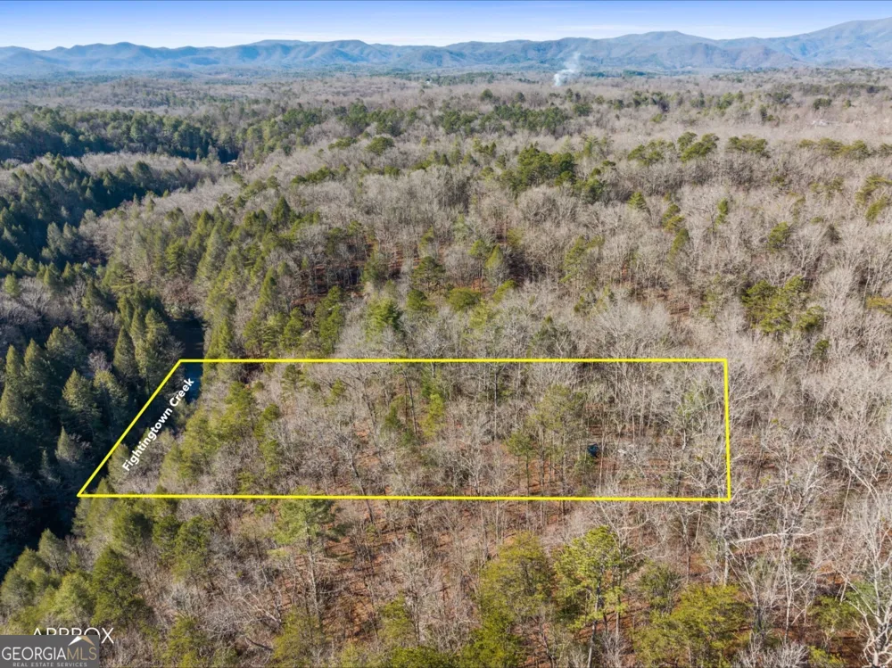 0 FIGHTINGTOWN CREEK McCaysville, GA 30555