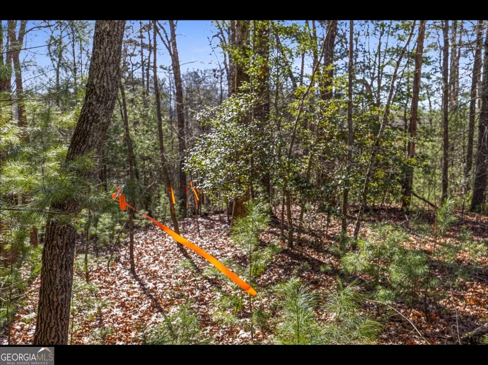 0 FIGHTINGTOWN CREEK McCaysville, GA 30555