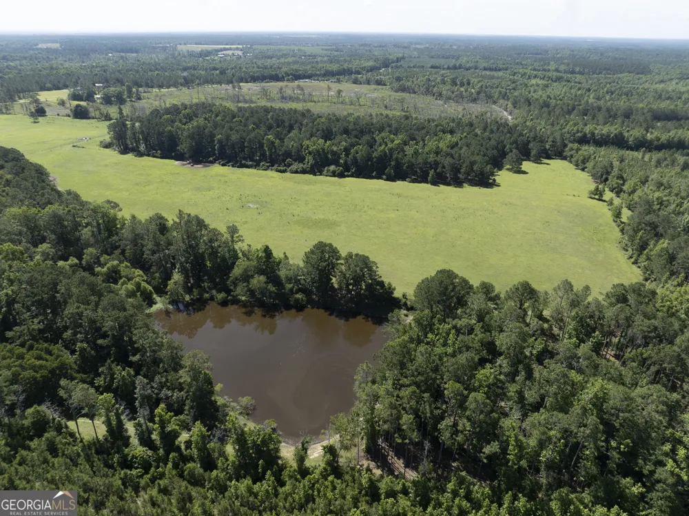 3349 B Scotland RD Alamo, GA 30411