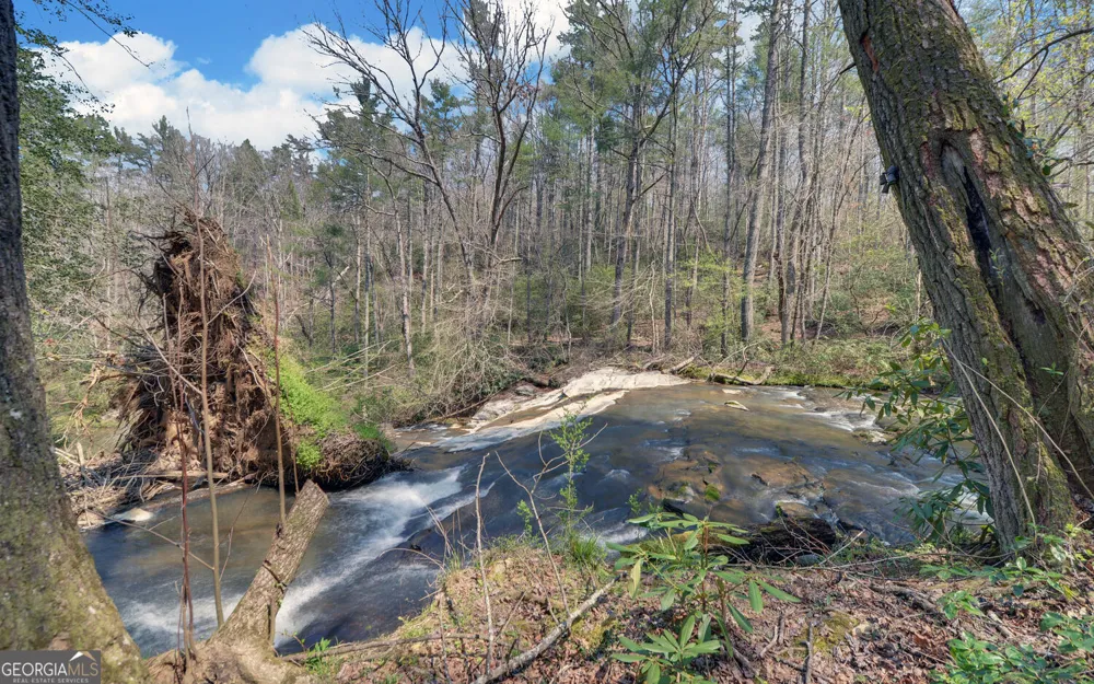 290 Waterfall DR Cleveland, GA 30528