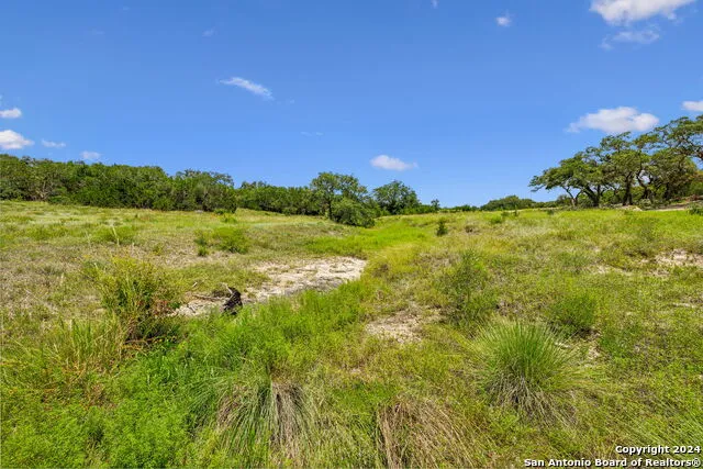 34713 Mayer Oaks Bulverde, TX 78163