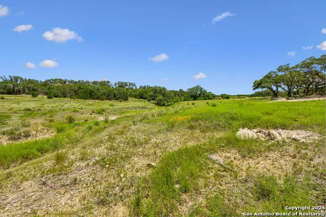 34713 Mayer Oaks Bulverde, TX 78163