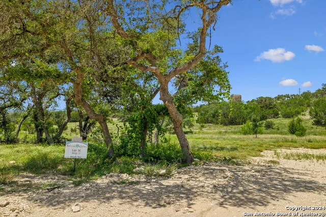 34713 Mayer Oaks Bulverde, TX 78163