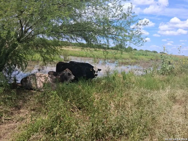 101 County Road 135 Floresville, TX 78114