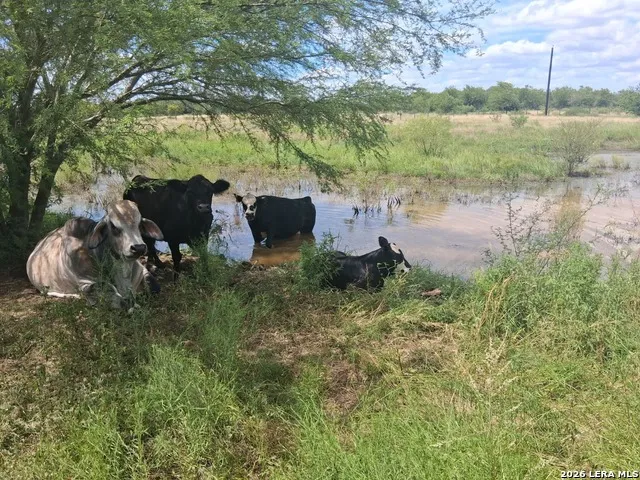 101 County Road 135 Floresville, TX 78114