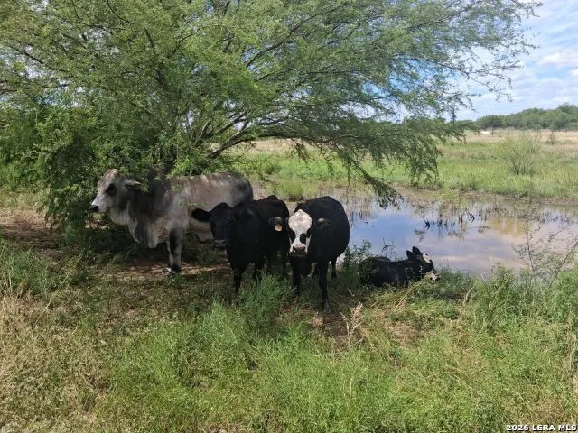 101 County Road 135 Floresville, TX 78114