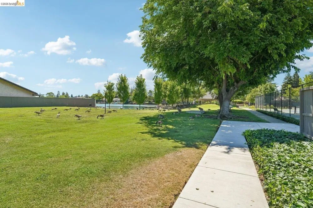 3768 Wood Duck CIR Stockton, CA 95207