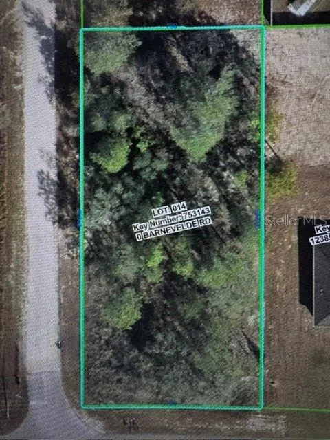 Lot 14 BARNEVELDE ROAD Weeki Wachee, FL 34614