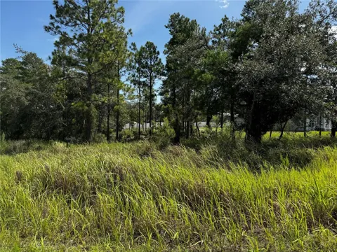 Lot 14 BARNEVELDE ROAD