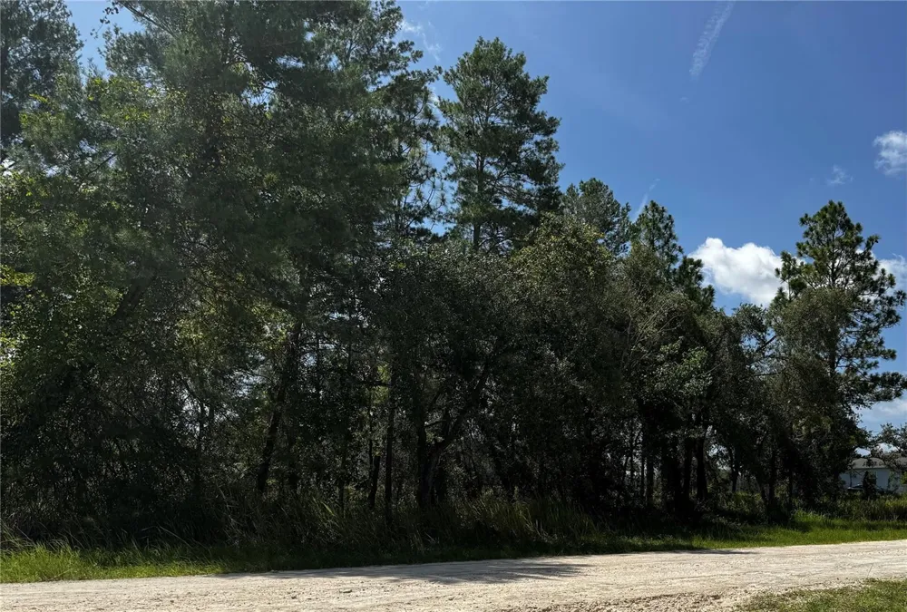 Lot 14 BARNEVELDE ROAD Weeki Wachee, FL 34614