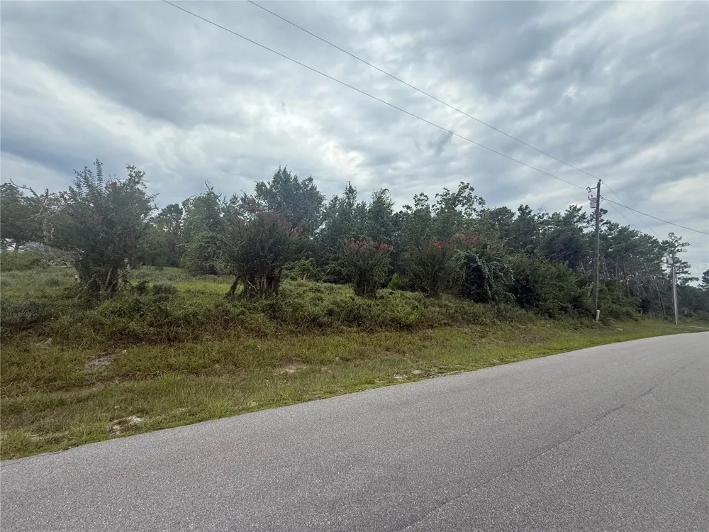 31514 DIVISION STREET Deland, FL 32720