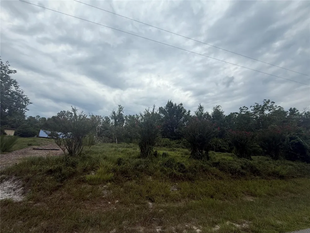 31514 DIVISION STREET Deland, FL 32720