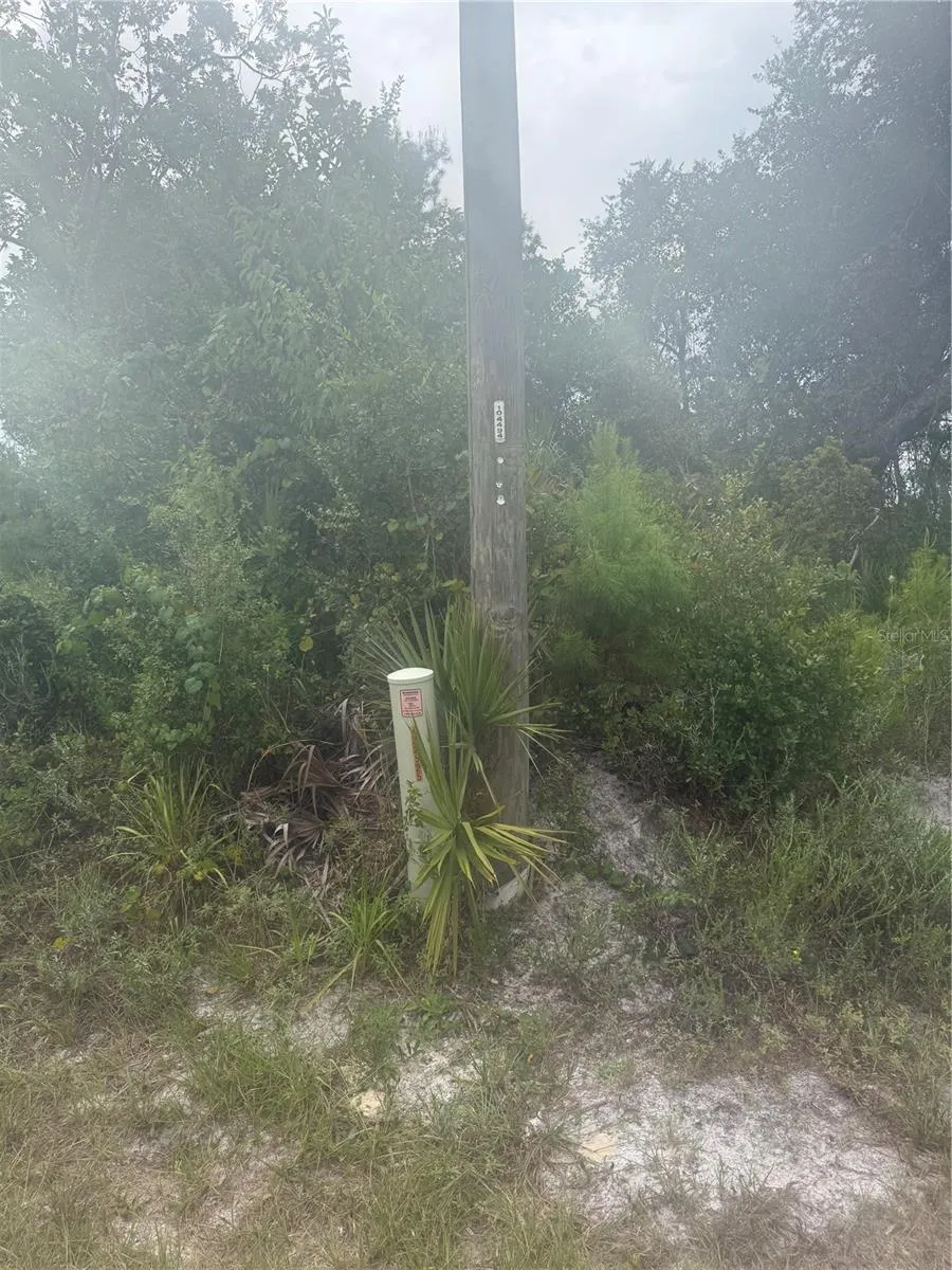 31514 DIVISION STREET Deland, FL 32720