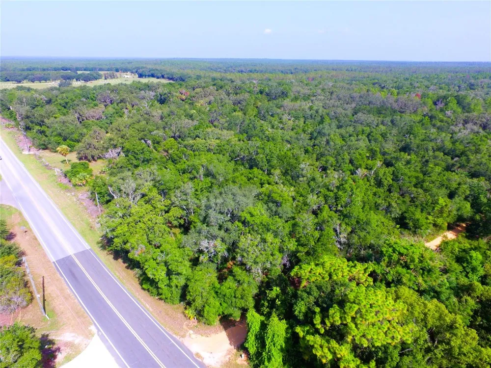 24601 SE HIGHWAY 42 Umatilla, FL 32784
