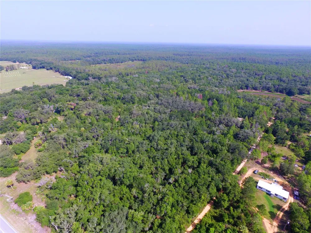 24601 SE HIGHWAY 42 Umatilla, FL 32784