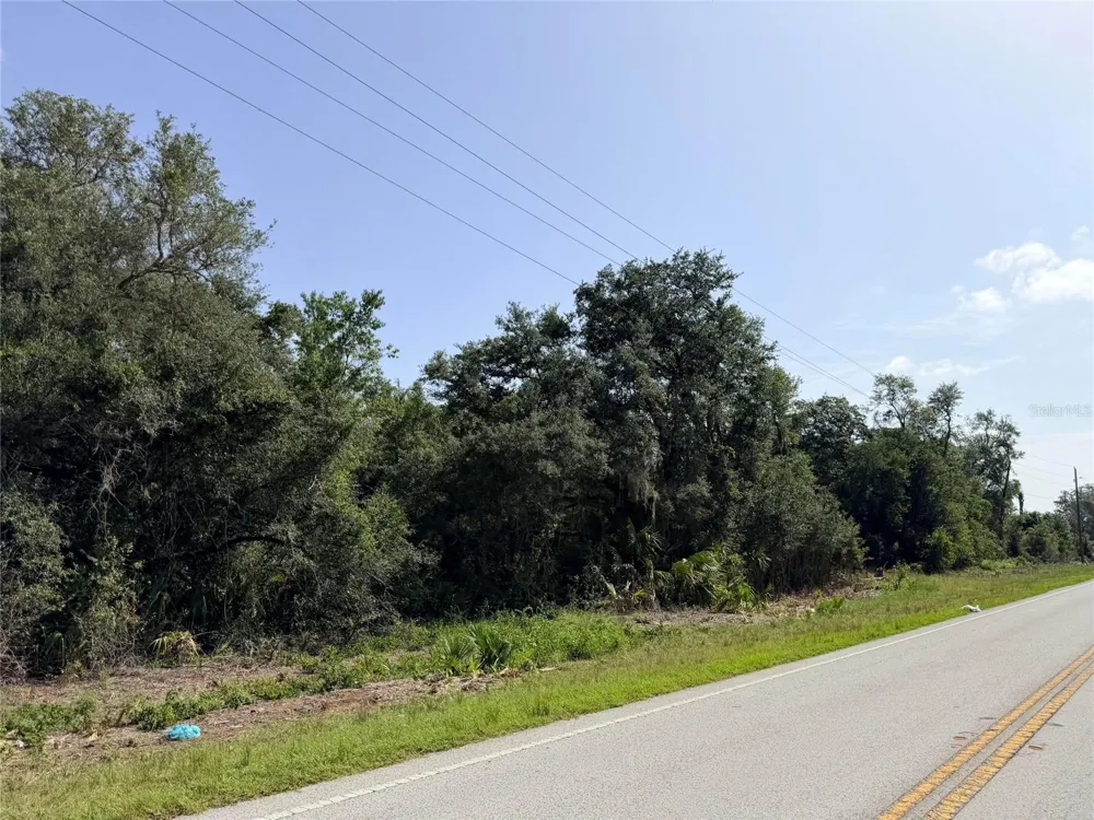 24601 SE HIGHWAY 42 Umatilla, FL 32784