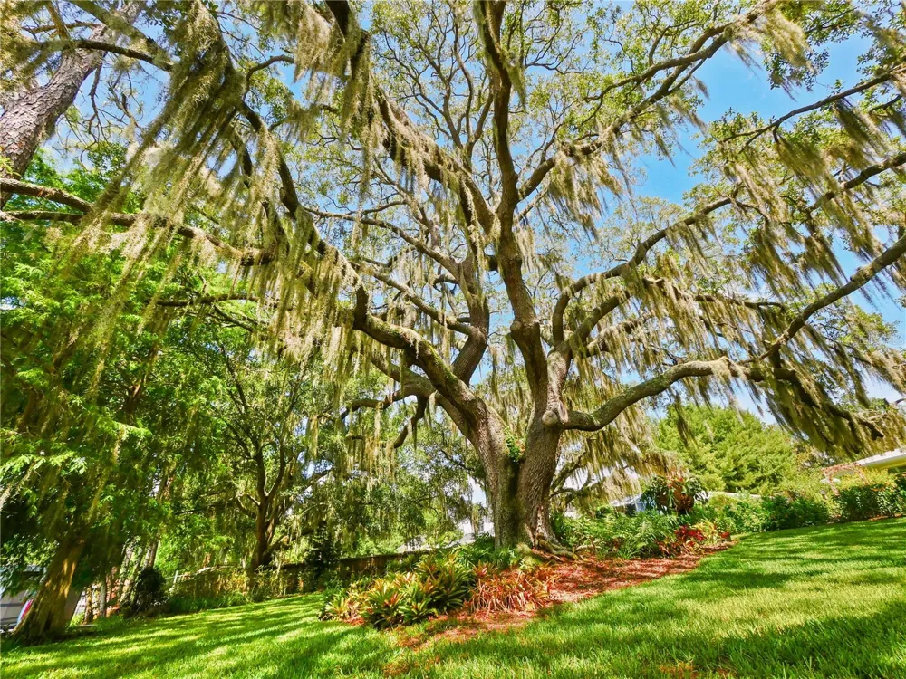 5701 CROSS FOX LANE Oviedo, FL 32765