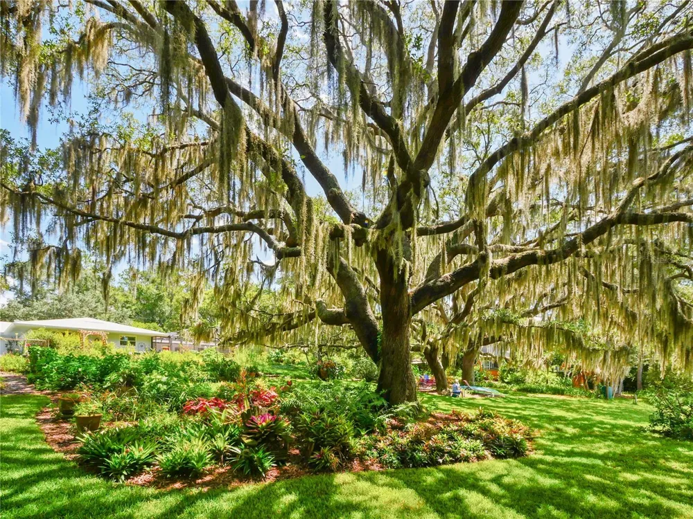 5701 CROSS FOX LANE Oviedo, FL 32765