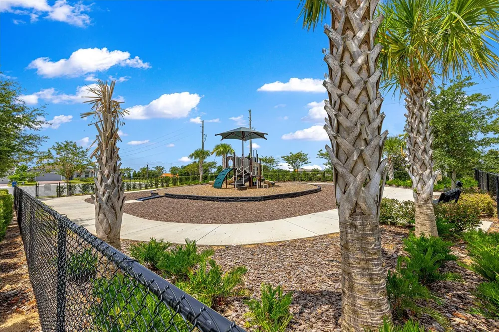 3133 HILL POINT STREET Minneola, FL 34715