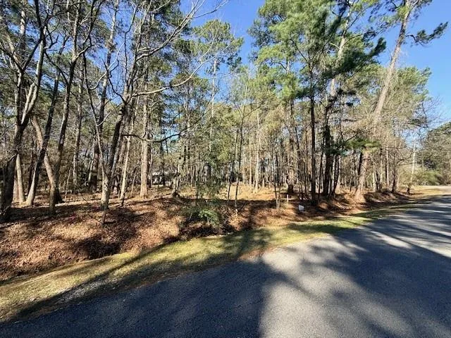 220 Altwood Drive Coldspring, TX 77331