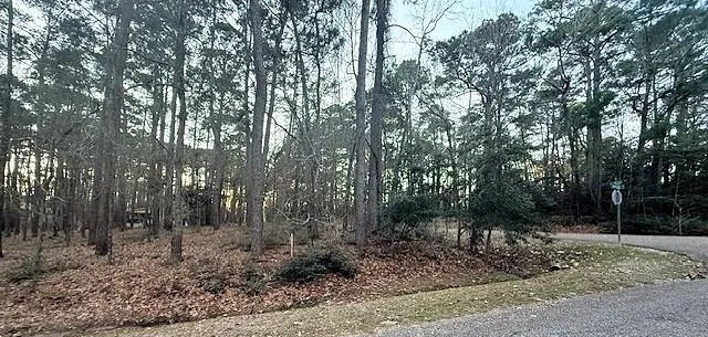 220 Altwood Drive Coldspring, TX 77331