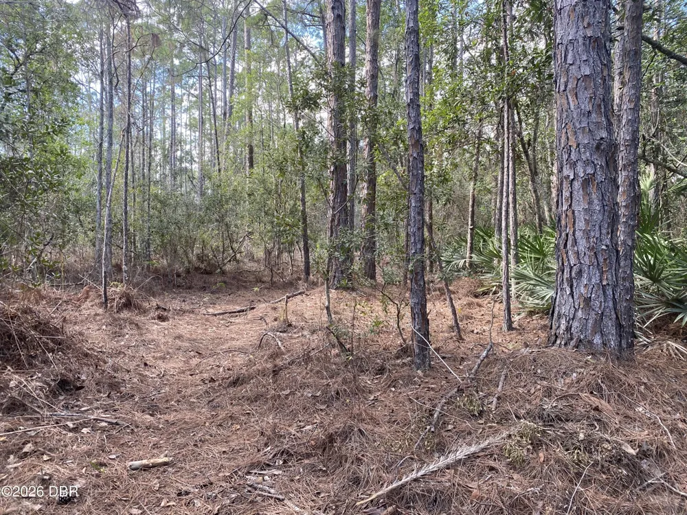 4205 Quail Ranch Road New Smyrna Beach, FL 32168