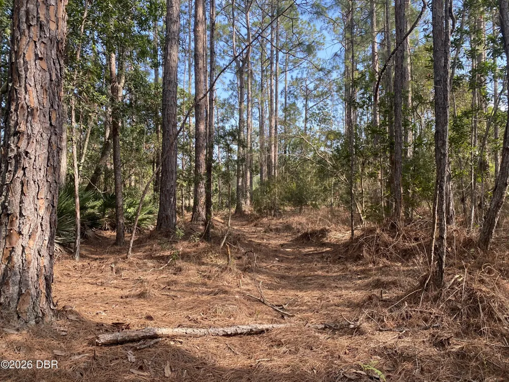 4205 Quail Ranch Road New Smyrna Beach, FL 32168