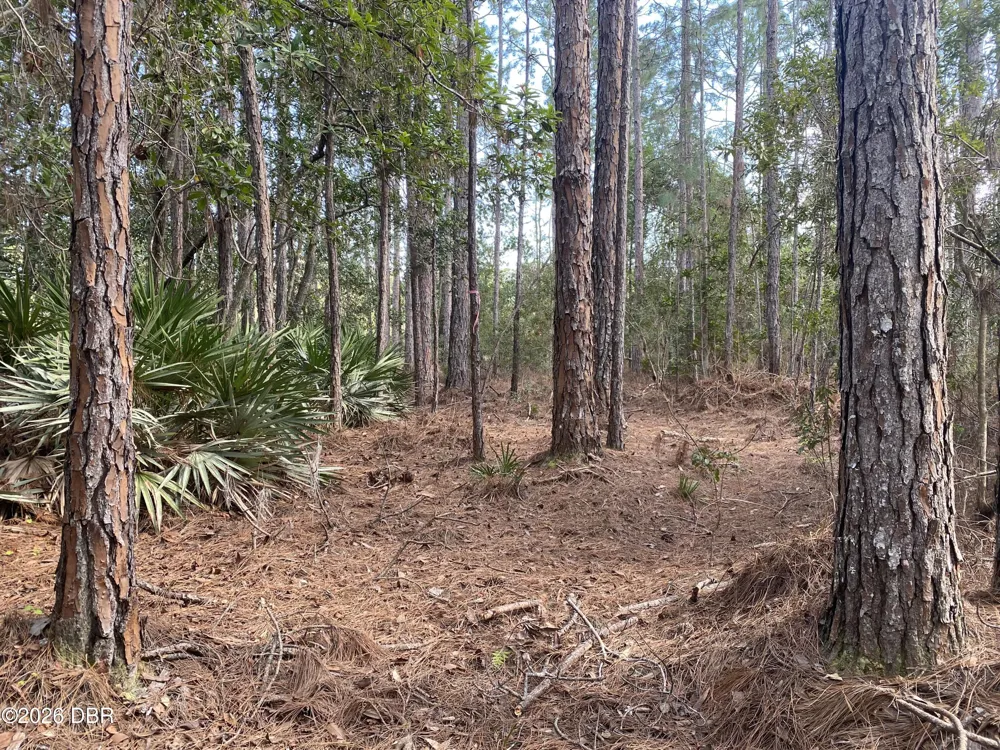 4205 Quail Ranch Road New Smyrna Beach, FL 32168