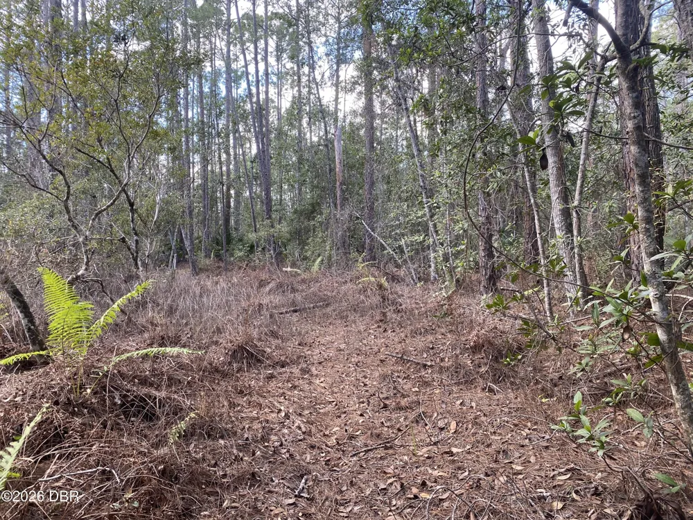 4205 Quail Ranch Road New Smyrna Beach, FL 32168