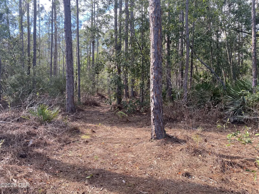 4205 Quail Ranch Road New Smyrna Beach, FL 32168